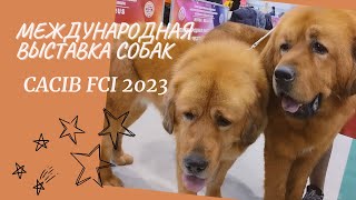 Международная выставка собак... CACIB FCI 2023 Минск