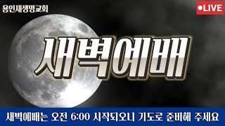 2025-02-24ㅣ 김향숙 목사ㅣ용인새생명교회 새벽예배ㅣ시편 57: 1-11