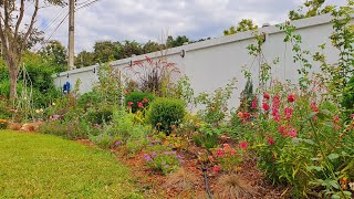 Garden Tour🌹พาดูกุหลาบปลูกที่ไทย กุหลาบเมืองร้อนก็สวยได้😍 จัดสวนเองทุกอย่าง สวนอังกฤษ🌹Hatley Garden