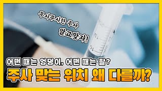 [천냥정보] 28화 주사 맞는 위치! 왜 다를까?