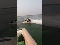 Kawasaki sxr 800 stand up Jetski. Flying by pontoon.#shorts