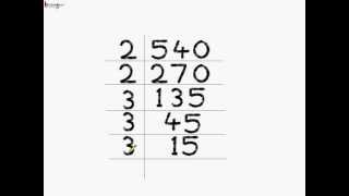 Math - How To Do Prime Factorization - English