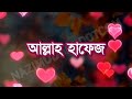 দুই ধরনের নারী বিয়ের আগে ও পরে best heart touching video in bangla motivational quotes bani