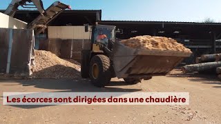 De l'arbre au produit, rien ne se perd dans le hêtre