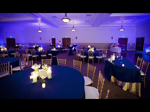 CHIAVARI CHAIRS | CHIAVARI CHAIRS FOR SALE | CHIAVARI CHAIRS FOR RENT CHIAVARI CHAIRS | CHIAVARI CHAIRS FOR SALE | CHIAVARI CHAIRS FOR RENT