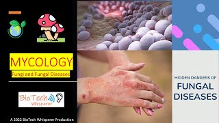 Fungal Diseases Explained (Mycology) in 10 Minutes