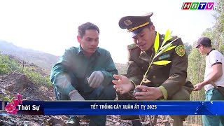 TẾT TRỒNG CÂY XUÂN ẤT TỴ 2025