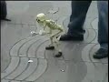 Maisamma dance by sceleton whatsapp status