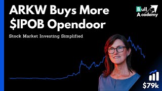 Cathie Wood's Ark Invest ETF Bought More $IPOB Opendoor SPAC Shares