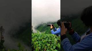 Monsoon in Darjeeling ⛈️💚 #shorts #darjeeling #monsoon #mountains #travel