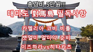 총5만원, 대마도 이즈하라 당일치기 여행 - 1 [선박 배,멀미약,일정 등]