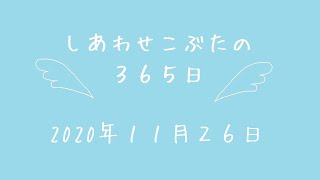 株式会社SCRIT「しあわせこぶたの３６５日」１１/２６　不動産の話