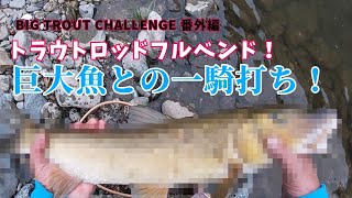 ビッグトラウトチャレンジ番外編　トラウトロッド・レイズスペクトラ53LMLフルベンド！巨大魚との一騎打ち！