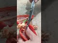 SATISFYING RED SWEET JALAPEÑO CUTTING #shortsvideo #fruitcutting