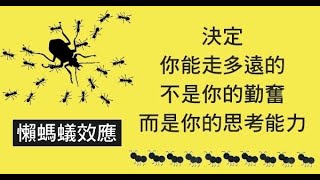 懶螞蟻效應：決定你能走多遠的，不是你的勤奮，而是你的思考能力