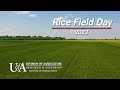 2023 Arkansas Rice Field Day Highlights