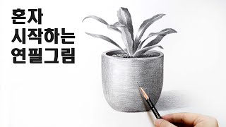 연필소묘 기초정물 화분그리기 / 기초소묘, 드로잉, Basic pencil drawing