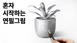 Draw plants and pots with pencil