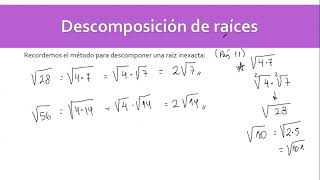 Clase 4  Refuerzo de descomposición de raíces (2MA)