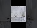 presenting arabescato carrara a stunning marble slab that dazzles with its elegant white base and i