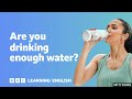 are you drinking enough water ⏲️ 6 minute english