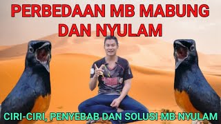 PERBEDAAN MURAI BATU NYULAM DAN MABUNG