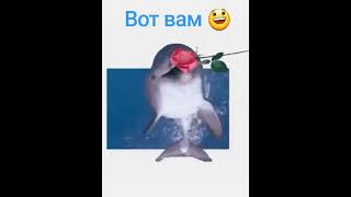 Вот вам 😃