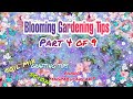 Blooming Gardening Tips Part 4 of 9 | Paano magpabulaklak | Selecting Scion | Potting Mix