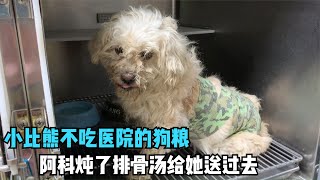 Bichon Bichon was reluctant to eat in the hospital, so Ake made pork ribs soup and sent it to her