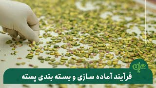 فرآیند آماده‌سازی و بسته بندی پسته در کارخانه مغزیجات سرین