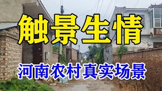 为什么很多人看完这视频都想哭？河南农村真实场景，触景生情