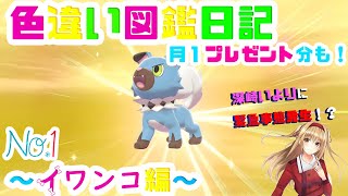 【色違い図鑑日記】念願のイワンコ！喜びで緊急事態発生！？【ポケモン孵化厳選】