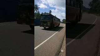 🚌දෙනියාය#කොළොඹ#|බස්|#leylandbus#busdriving#srilanka#ctb#bus#🚌#colombo#srilanka#bus#බස් #🚌👍,