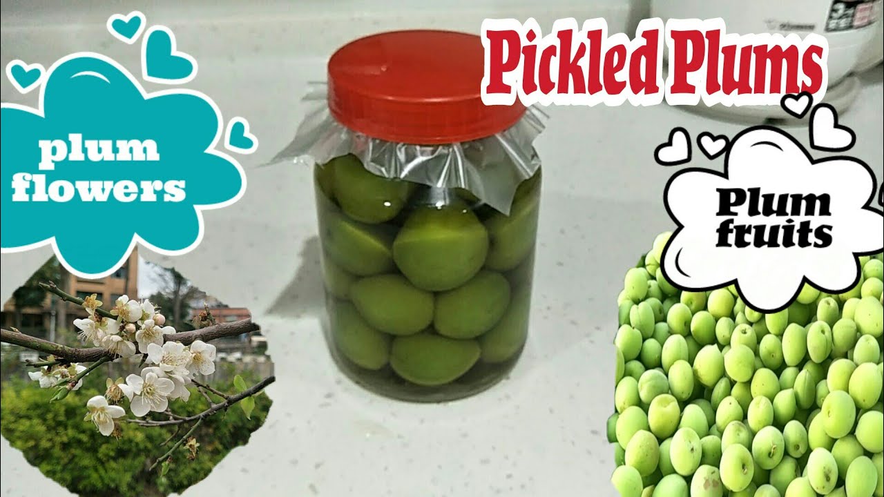 How To Pickled Green Plums Plum Fruits Youtube