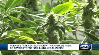 Marijuana advocates prepare legalization push in NH