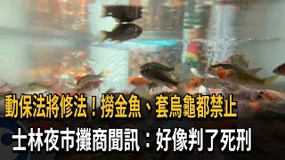 農委會預告修法 夜市將看不到撈金魚、套烏龜－民視新聞