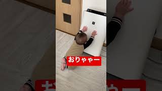 【生後8ヵ月】やんちゃ盛り✨破天荒BOY😂#shorts #生後8ヵ月