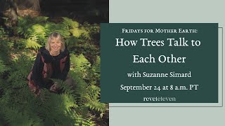 Fridays for Mother Earth: How Trees Talk to Each Other with Suzanne Simard