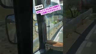 本日から各配送便に横乗りし、ひと通り覚えていきます。4トン車・大型車の各種トラック乗務、そして事務職 社内のなんでも屋さんかな？。職員休暇時の職務交代役。　#shorts