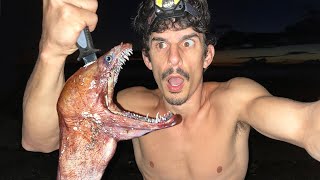 THIS ZOMBIE EEL IS IMPOSSIBLE TO KILL! | Spearfishing Catch and Cook Adventure