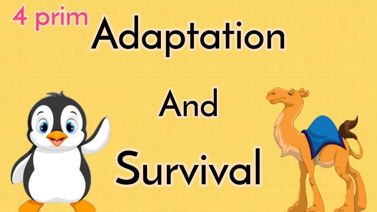 Lesson (1) Adaptation And Survival المنهج الجديد للصف الرابع الابتدائي ...