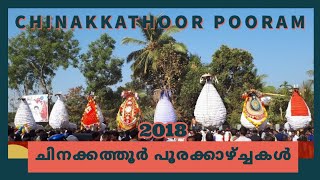 ചിനക്കത്തൂർ പൂരം 2018 -  കുതിരകൾ | Ottapalam | Chinakkathoor Pooram 2018, Ottapalam