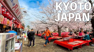 【4K】京都 祇園、円山公園　桜ウォーキングツアー2023