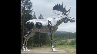 MC Northern Norway 🇳🇴 Ep 2 That’s a giant moose