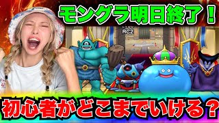 【ドラクエウォーク】モングラ明日終了！初心者がどこまで行けるか！無課金ギャル勇者がいく！