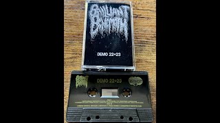 Vital Vinyl Vlog: Brilliant Behemoth- Demos 22/23