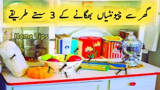 Get rit of Ants in House | گھر سے چیونٹیاں بھگانے کا طریقہ | Home Cleaning Tips | Health Clinic