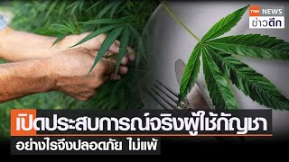 เปิดประสบการณ์จริงผู้ใช้กัญชา  อย่างไรจึงปลอดภัย ไม่แพ้ | TNN ข่าวดึก | 10 มิ.ย. 65