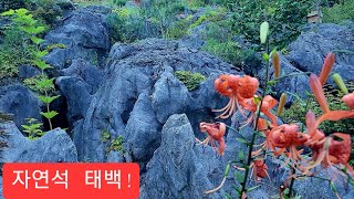 태백 상철암 건널목 골짜기 경이로운자연석 (공도암) 관광기 볼만해요 !