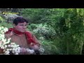 tum kamsin ho nadaan ho with lyrics mohammed rafi ayee milan ki bela 1964 song rajendra kumar